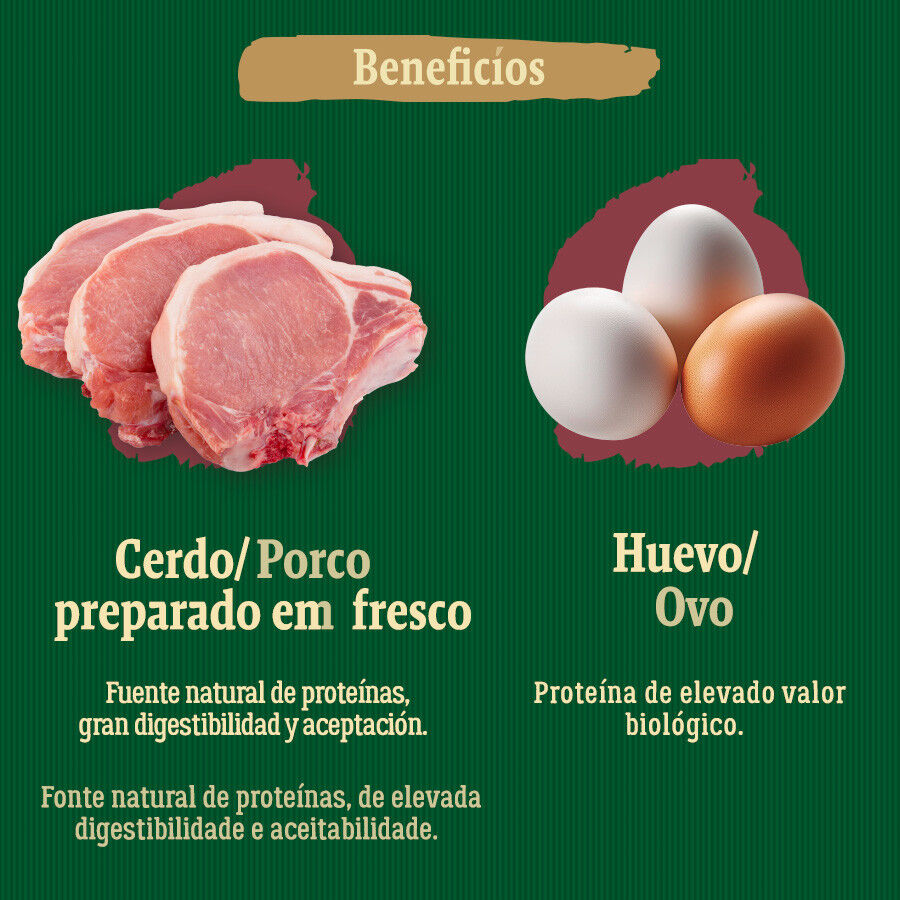 True Origins Wild Maxi Farm Cerdo pienso para perros, , large Imagen numero 5