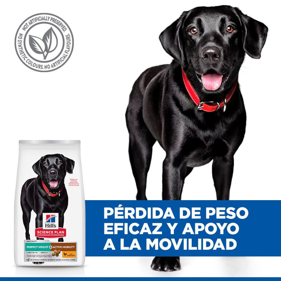 Hill&#039;s Science Plan Perfect weight y Active Mobility pollo pienso para perros grandes thumbnail