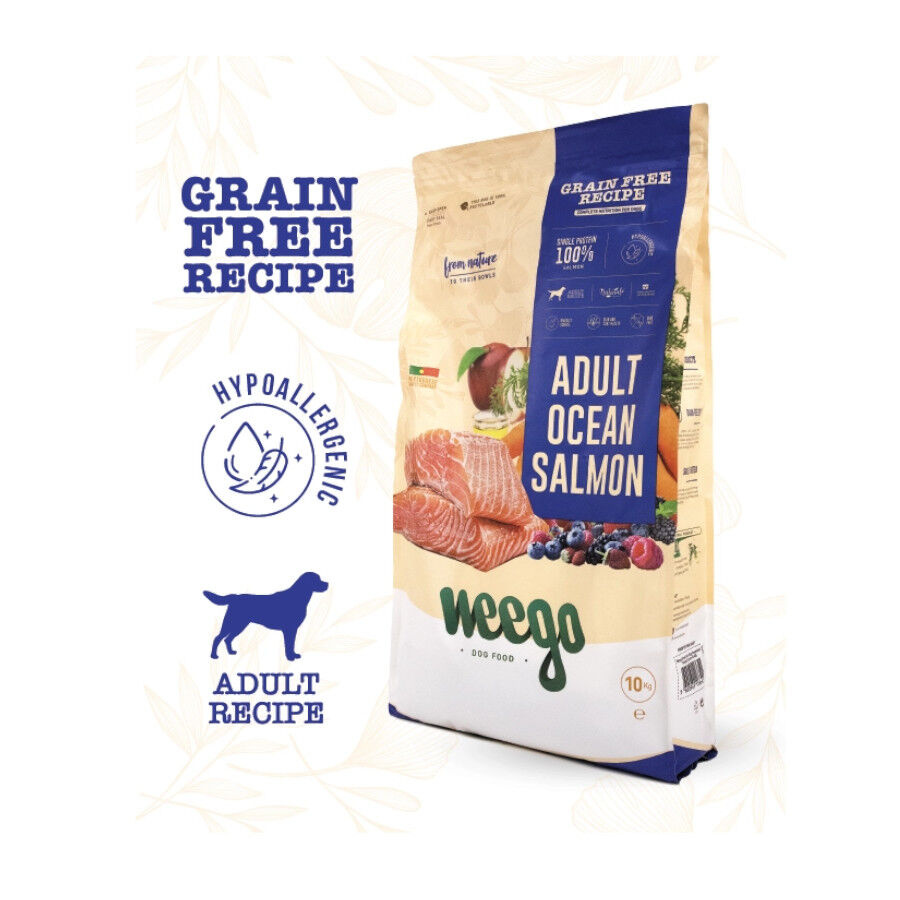 Weego Grain Free Adult Ocean Salmón pienso para perros thumbnail
