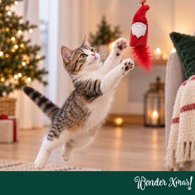 Wonder Christmas Teaser Pap&aacute; Noel Juguete para gatos