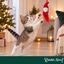 Wonder Christmas Teaser Pap&aacute; Noel Juguete para gatos, , large indicador imagen numero 2