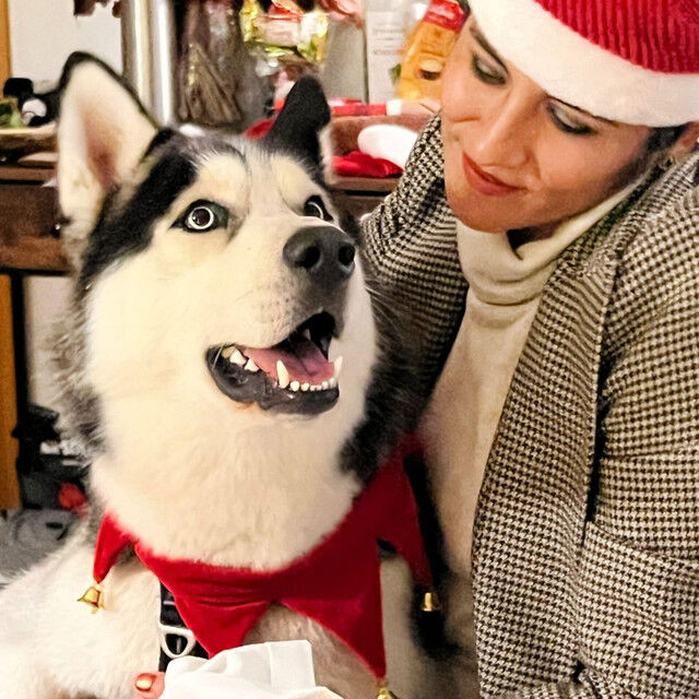 Collar Jingle Bell S, , large Imagen numero 5