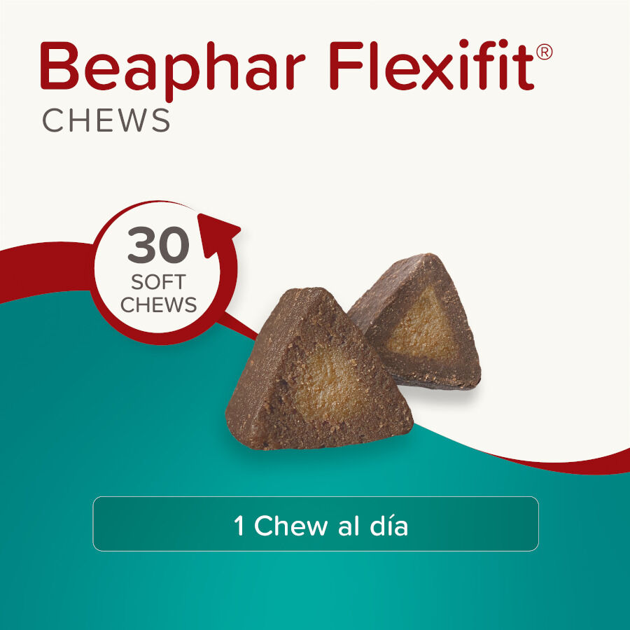 Beaphar Flexifit Chews Condroprotector para perros thumbnail