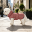 Gotoo Chaqueta Rosa para perros, , large indicador imagen numero 1