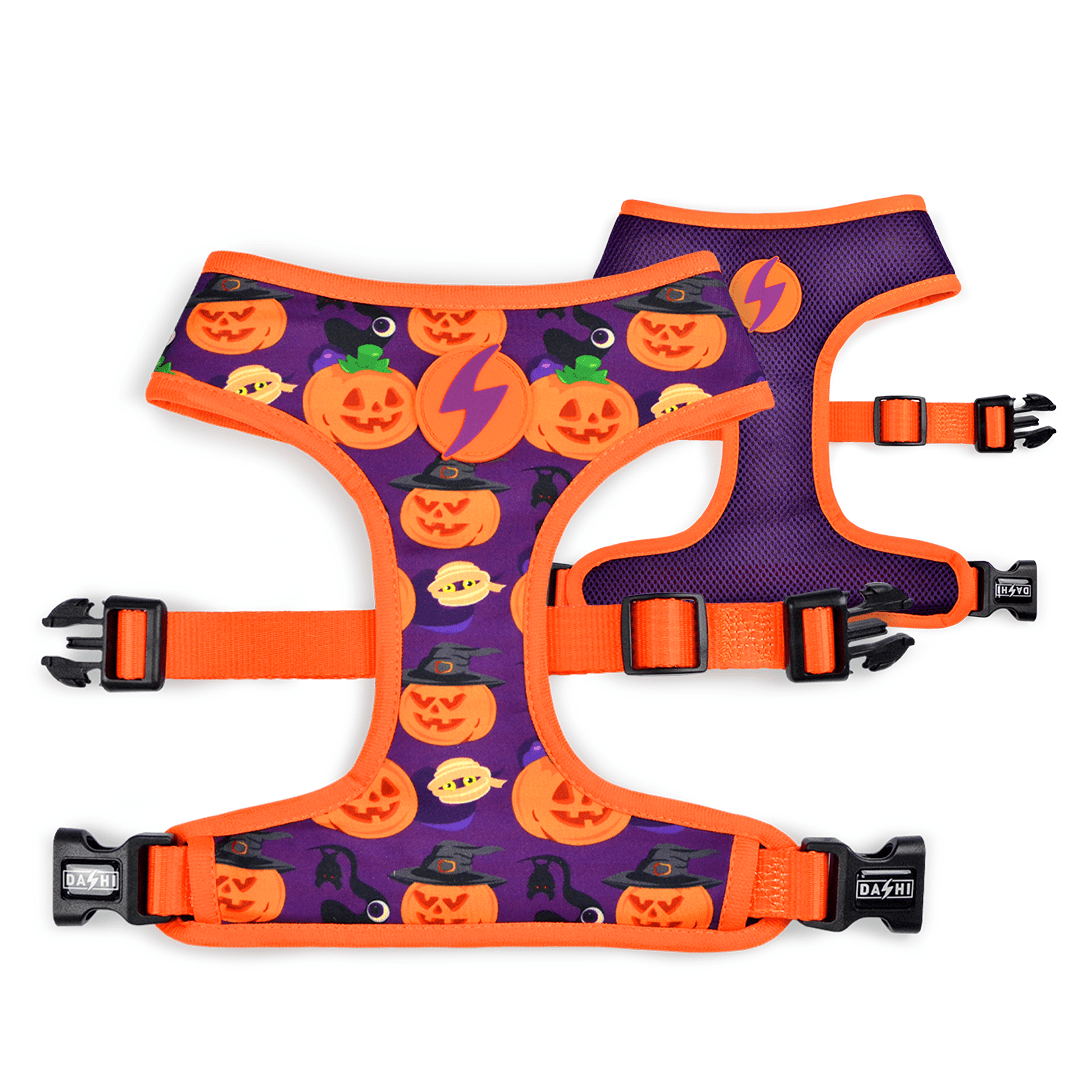 Arn&eacute;s reversible Pumpkin Neo Mesh para perros color Varios, , large Imagen numero 3