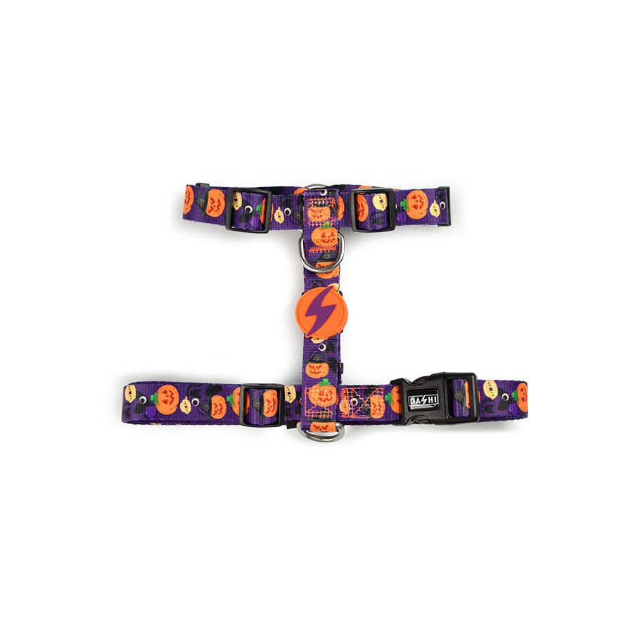 Arn&eacute;s Pumpink para perros color Varios, , large Imagen numero 1