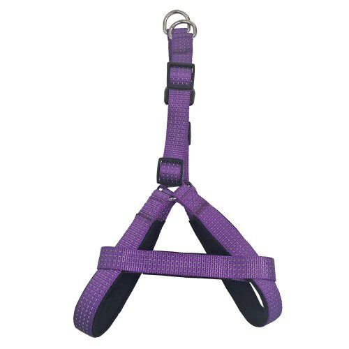 Arn&eacute;s nylon para perros color Morado, , large Imagen numero 1