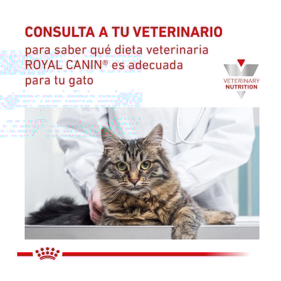 Royal Canin Veterinary Gastrointestinal pienso para gatos thumbnail