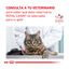 4 kg Royal Canin Veterinary Gastrointestinal pienso para gatos, , large indicador imagen numero 8
