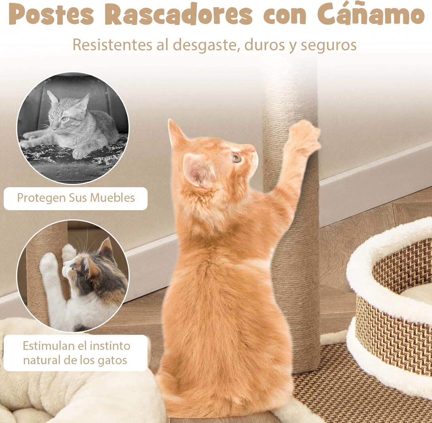 COSTWAY Torre para Gatos de Rat&aacute;n, &Aacute;rbol para Gatos de Interior con 3 Juguetes Colgantes, &Aacute;rbol Rascador, Plataforma, Cama Espaciosa, Centro de Actividades con Tapete de Felpa (40 x 40 x 80 cm), , large Imagen numero 3