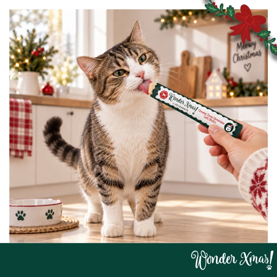 14 g Wonder Christmas Barritas Cremosas de At&uacute;n Snacks para gatos, , large Imagen numero 1