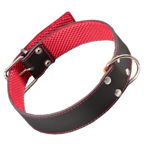 Arppe cuero cosido negro collar para perros Imagen numero 1