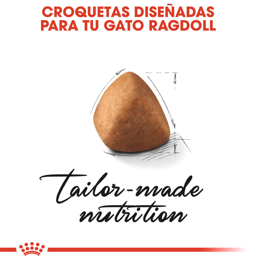 Royal Canin Adult Ragdoll pienso para gatos thumbnail