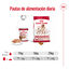 410 g Royal Canin Medium Adult Paté lata para perros, , large indicador imagen numero 6
