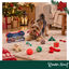 Wonder Christmas Calendario Adviento Premium Juguete para perros, , large indicador imagen numero 2