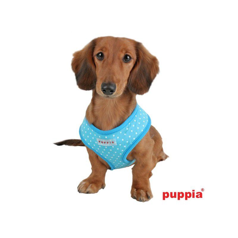 Arn&eacute;s Dotty Soft para perros color Azul cielo, , large Imagen numero 2