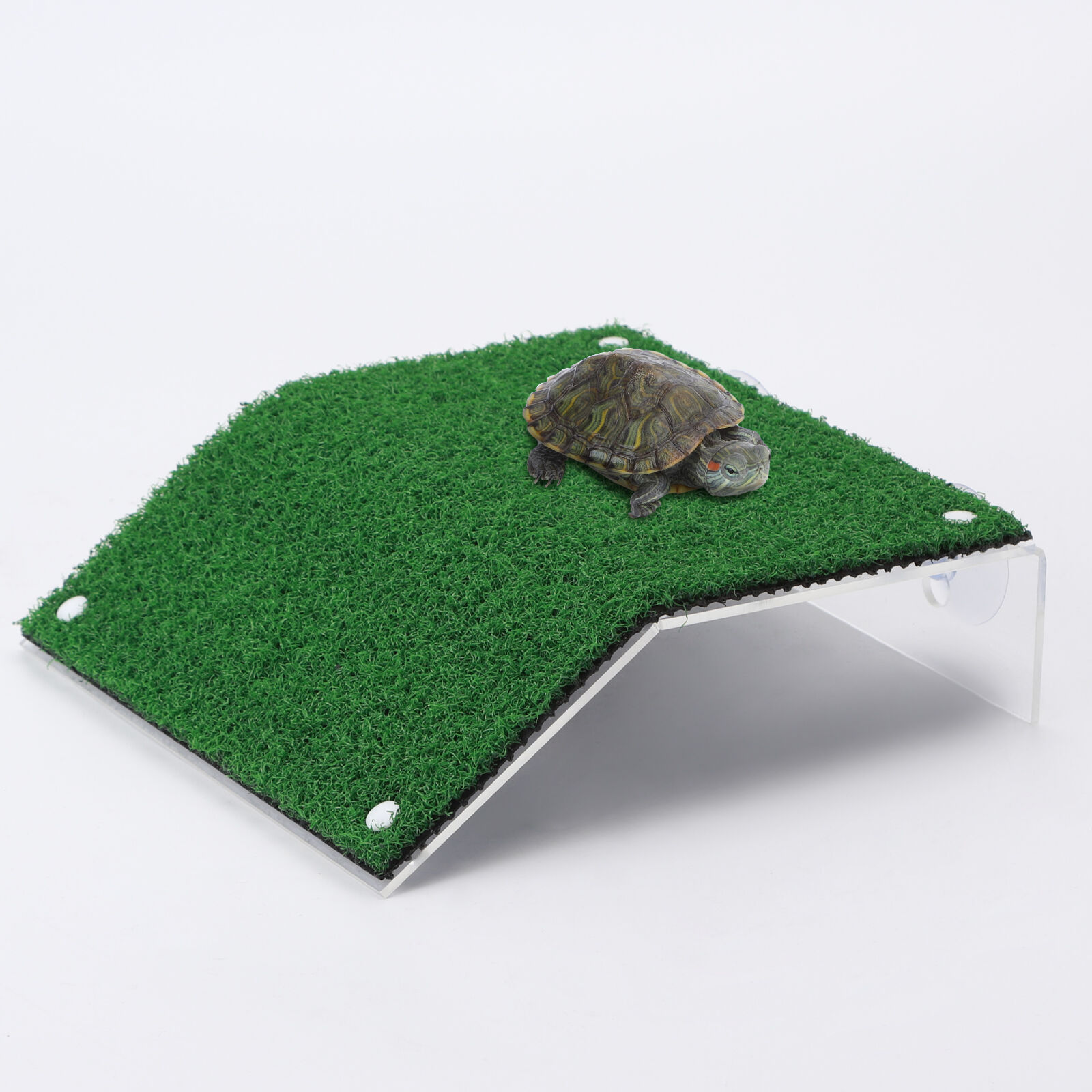Nobleza - Plataforma Tortugas, Verde realista C&eacute;sped Tortugas Basking Plataforma con Ventosas, para Tortuga o Reptil, L20*W21CM, , large Imagen numero 1