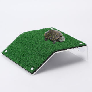 Nobleza Plataforma Tortugas Realista para terrario