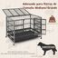 COSTWAY Jaula para Perros Plegable, Jaula para Mascotas de Metal con 2 Puertas, 4 Ruedas Giratorias, Bandeja Extraíble, Caja para Perros Portátil para Interiores y Exteriores (96 x 65 x 77 cm), , large indicador imagen numero 2