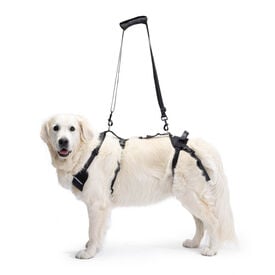Ortocanis Arnés Integral de ortopedia para perro
