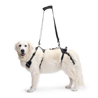 Ortocanis Arnés Integral de ortopedia para perro