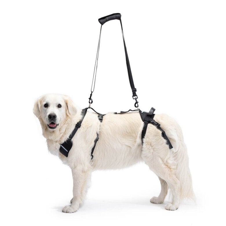 Arn s Integral Para Perros Ayuda A Las Extremidades Traseras Y Delanteras arn-s-integral-para-perros-ayuda-a-las-extremidades-traseras-y-delanteras