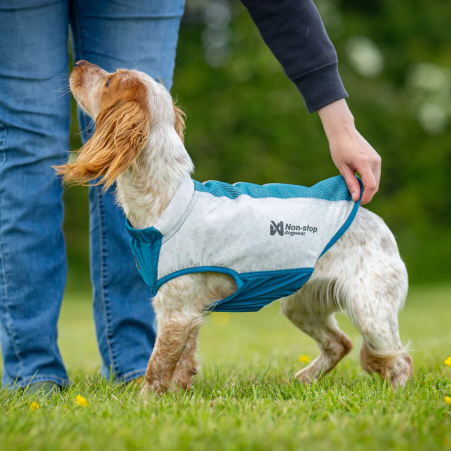 Non-stop Dogwear Chaleco Refrescante Pull-On Gris para perros, , large Imagen numero 5