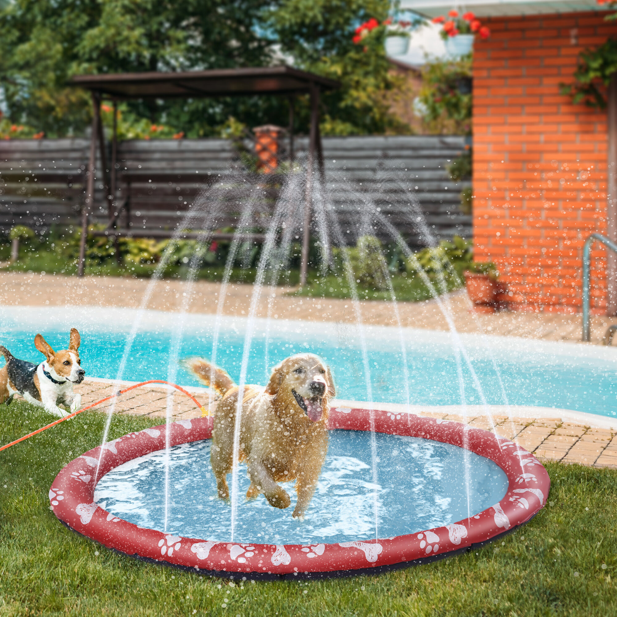 PawHut Splash Pad Mascotas Rojo y Azul, , large Imagen numero 2