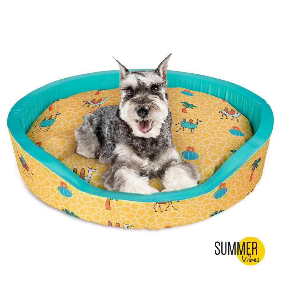 Summer Vibes Camel Fresh Cama refrescante para perros thumbnail