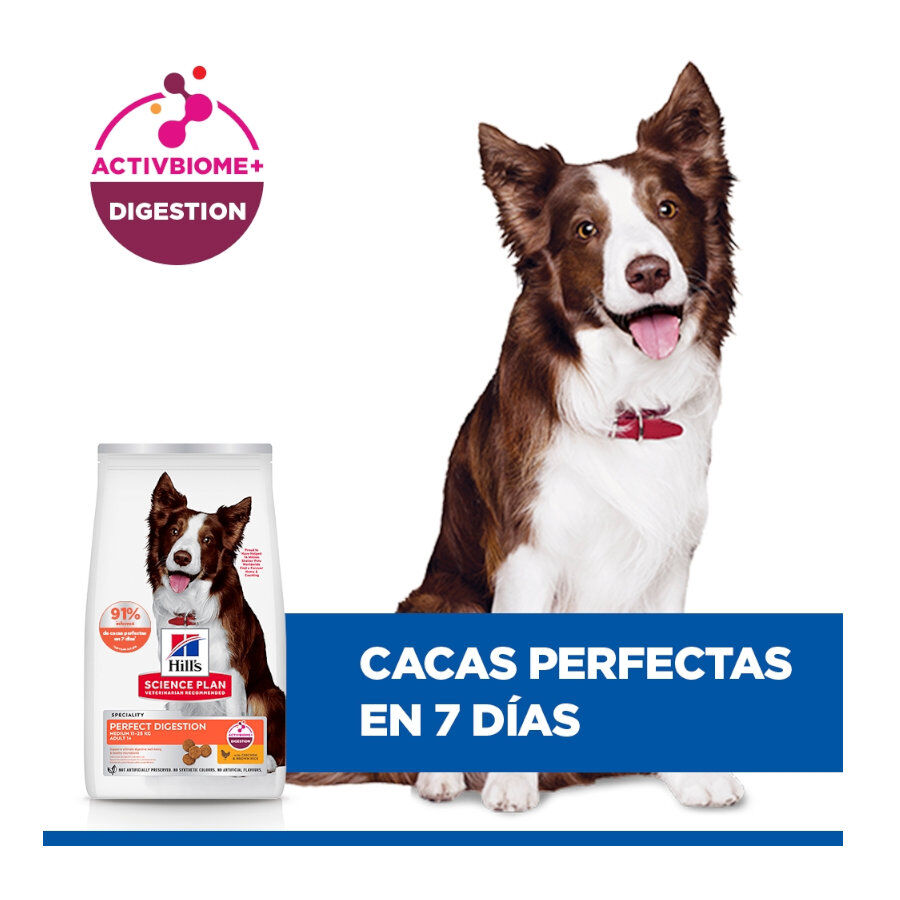 2.5 kg Hill's Science Plan Perfect Digestion Adult Medium Pollo pienso para perros, , large Imagen numero 5