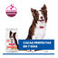 2.5 kg Hill's Science Plan Perfect Digestion Adult Medium Pollo pienso para perros, , large indicador imagen numero 5