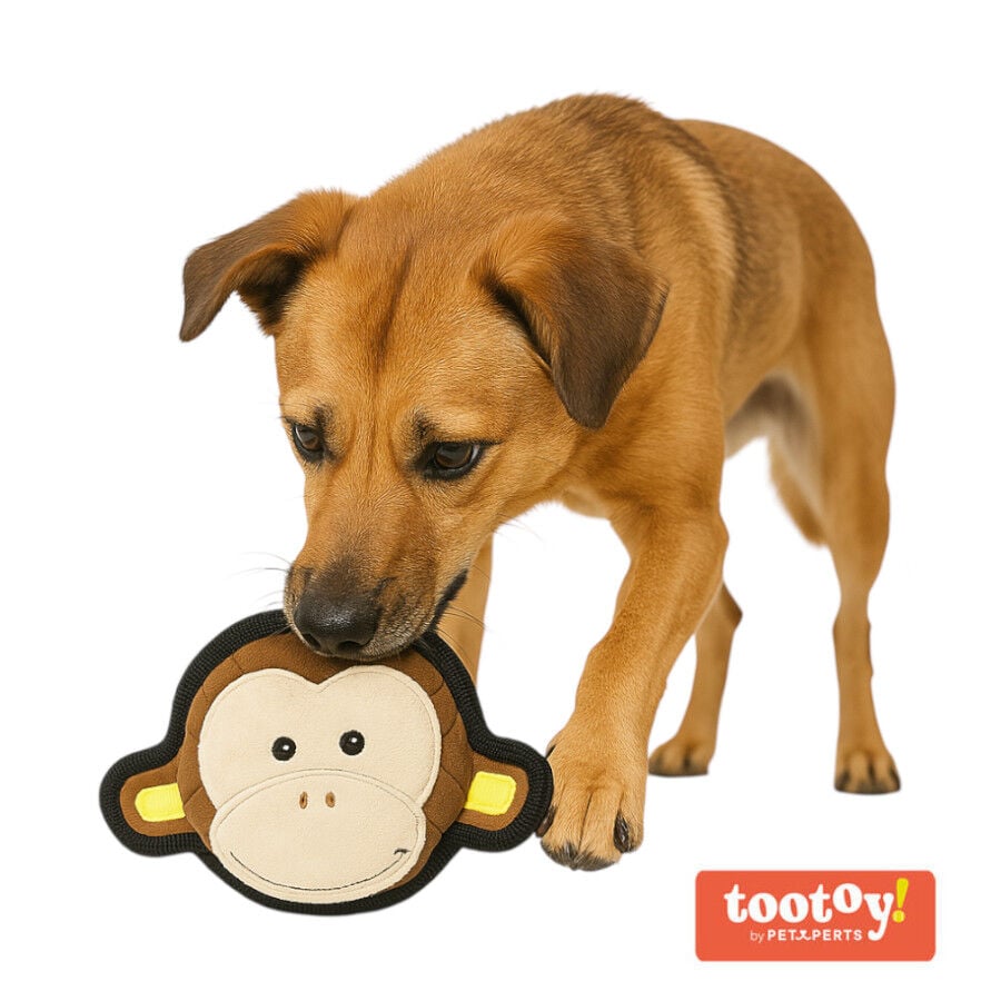 Tootoy! UResist Monkey Cuddler peluche resistente para perros thumbnail