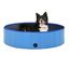 Vidaxl piscina refrescante azul para perros, , large indicador imagen numero 1