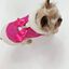 Ideal Pets, Abrigo para perros, Rosa de Invierno, , large indicador imagen numero 2