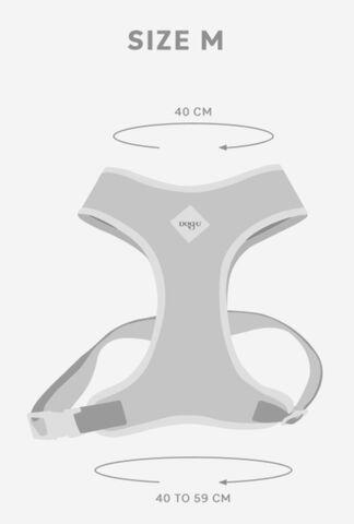 Arn&eacute;s Bold para perros | Looney Tunes - Demonio de Tasmania, , large Imagen numero 7