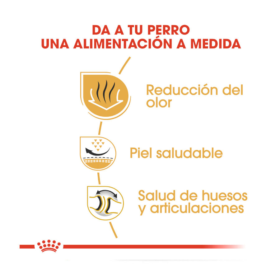 Royal Canin Adult Bulldog pienso para perros thumbnail