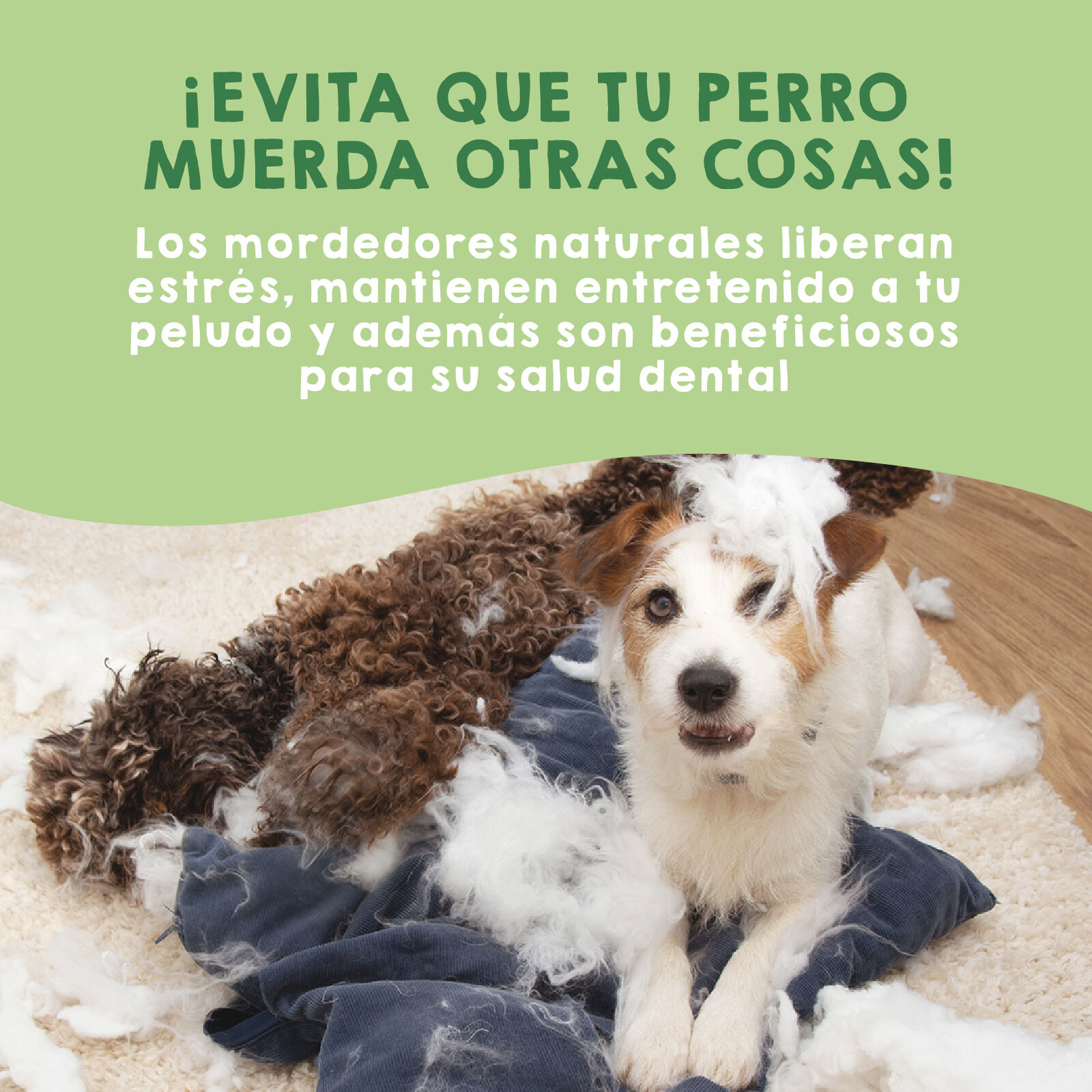 MAIKAI Hueso para Perros de Queso del Himalaya - Pack de 3 uds thumbnail