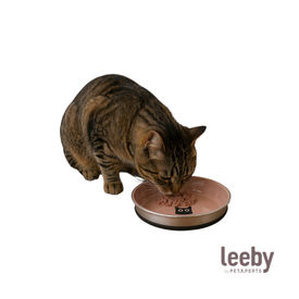 Leeby Comedero Taupe Antideslizante para gatos