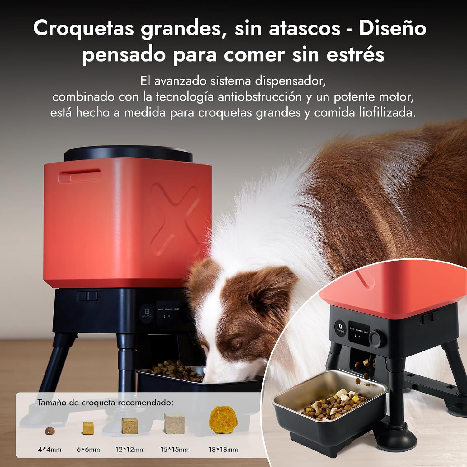 Molly&Cody Comedero Autom&aacute;tico Wifi para Mascotas, 14 litros, , large Imagen numero 4