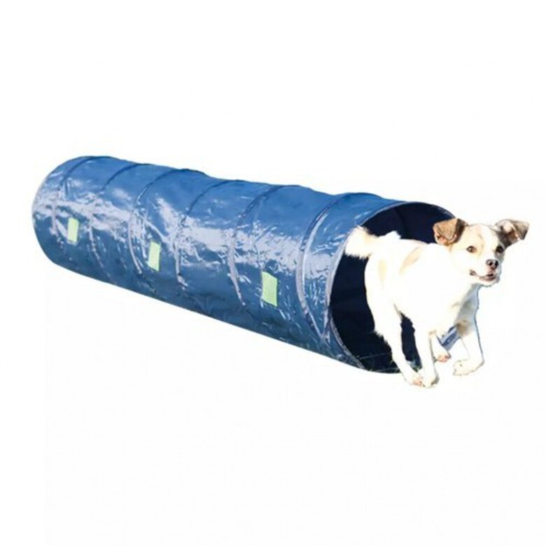 Túnel de agilidad para perros color Azul, , large image number null
