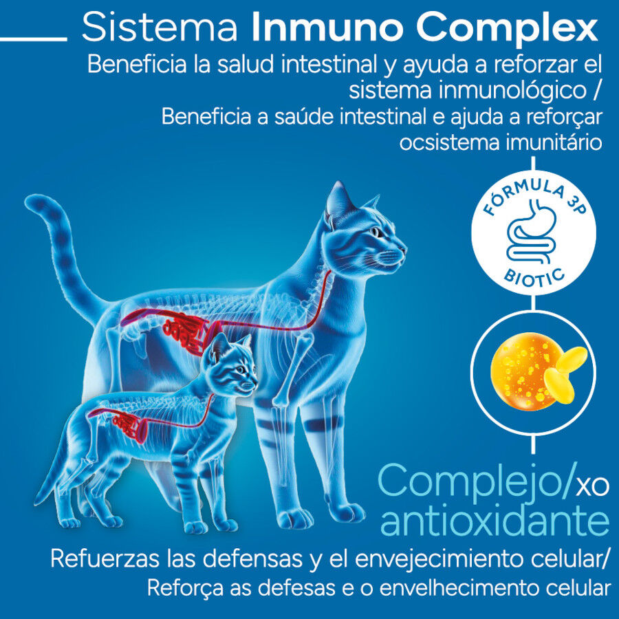 Criadores Cient&iacute;fico Mother&BabyCat pollo pienso para gatos, , large Imagen numero 3