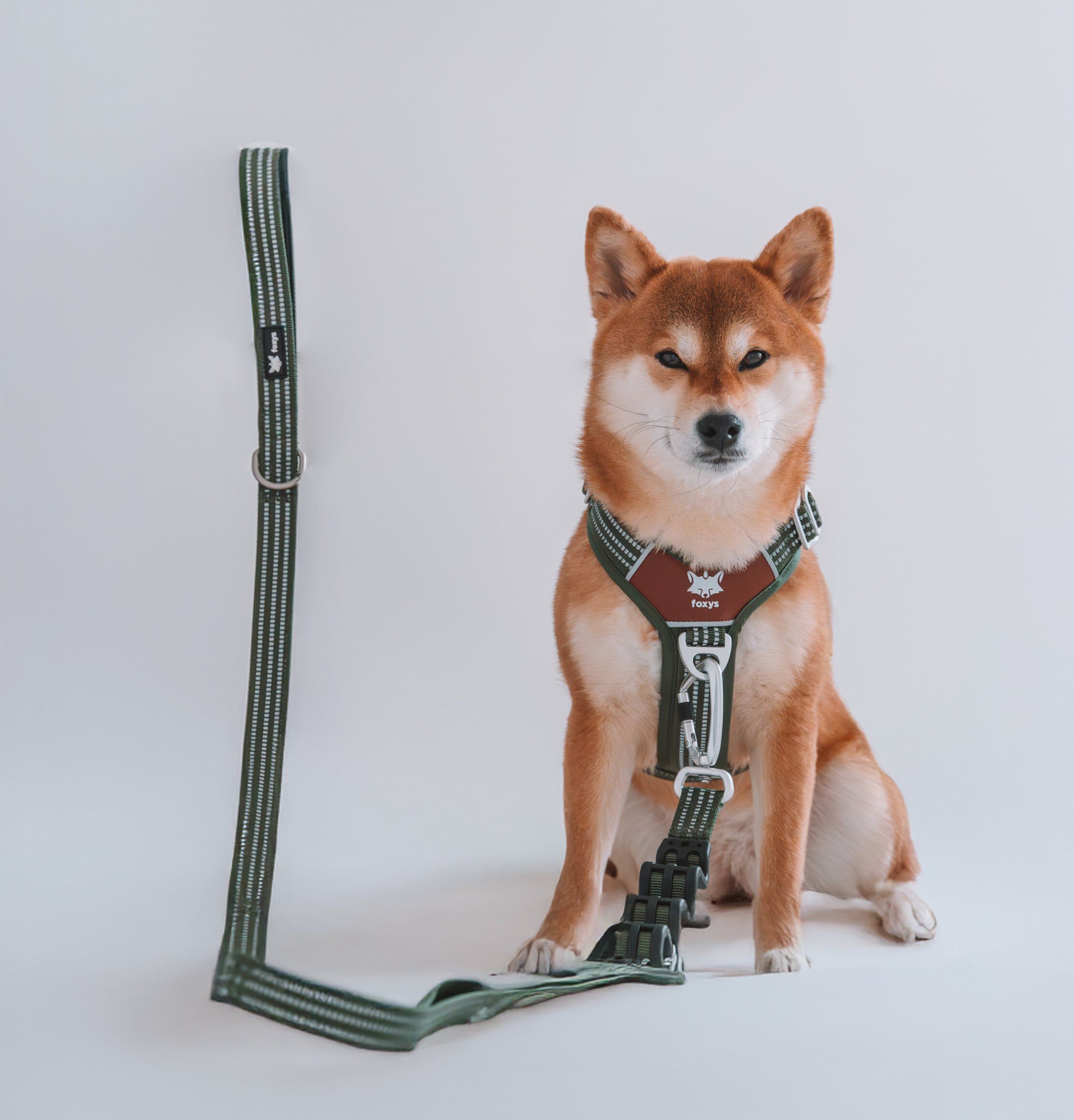 Correa CountryFox&trade; Pro &bull; Verde Matcha, , large Imagen numero 2