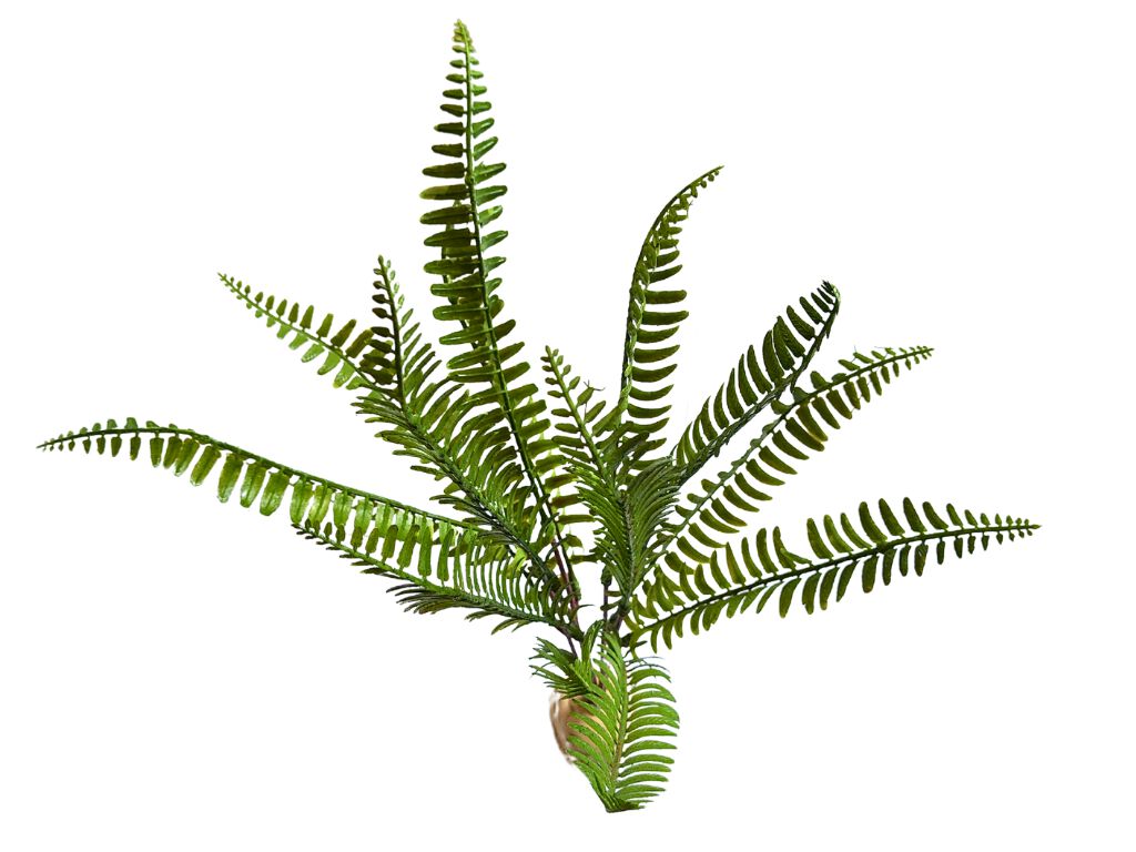 Reptilhábitat Planta Helecho De Decoración Para Terrarios thumbnail