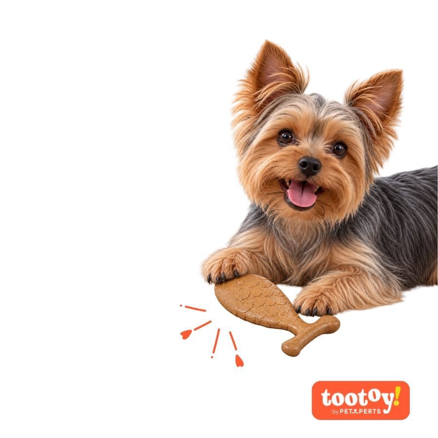 Tootoy! Chew Hueso Salm&oacute;n Juguete para perros, , large Imagen numero 7