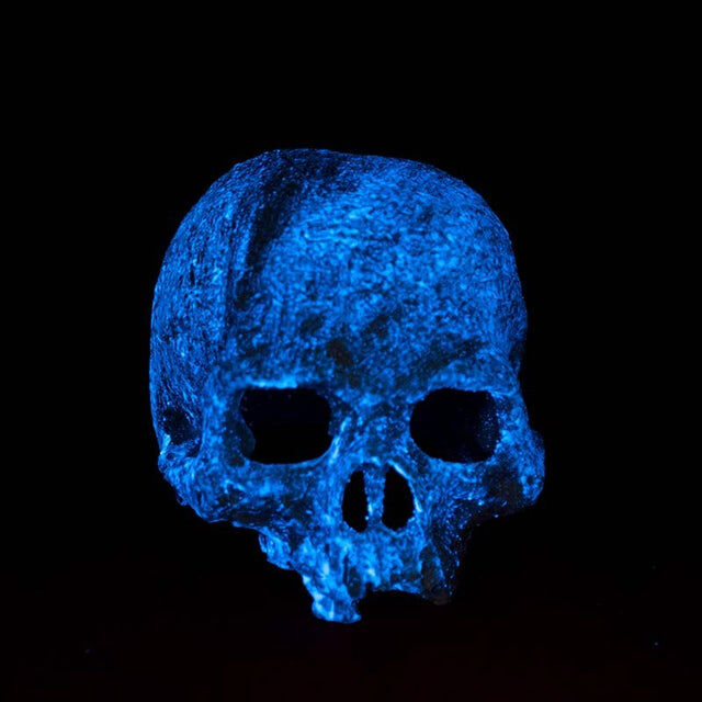 Exo Terra Calavera Fluorescente, , large Imagen numero 3