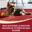 Purina One Adult Mini Bifensis Sensitive Salmón y Arroz pienso para perros, , large indicador imagen numero 2