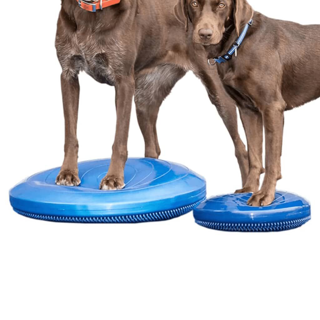 FitPAWS Disco de equilibrio para mascotas azul 36 cm, , large Imagen numero 7