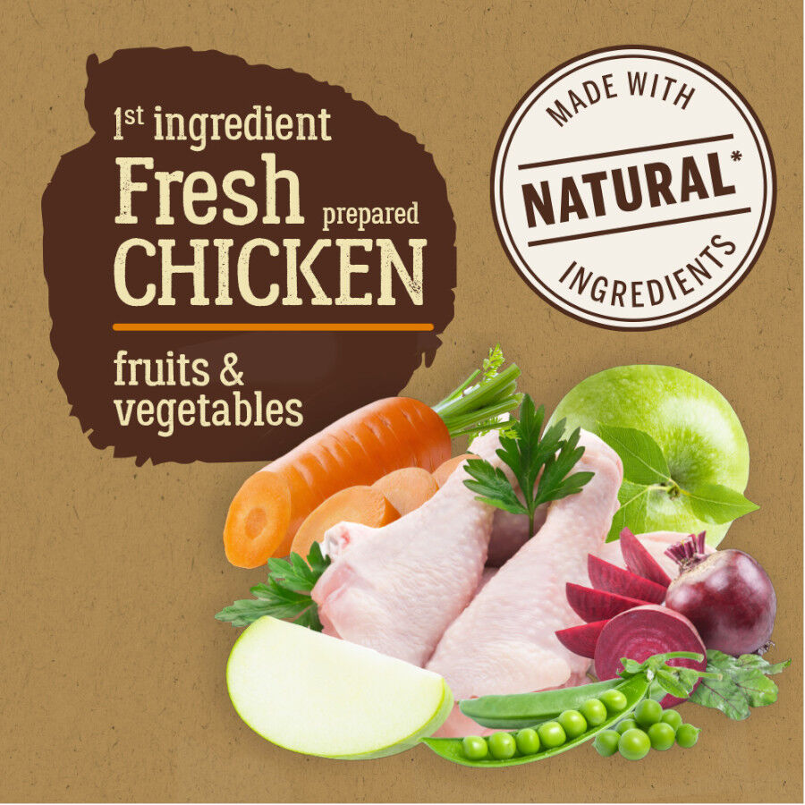 True Origins Pure Senior Pollo con Guisantes pienso para perros thumbnail