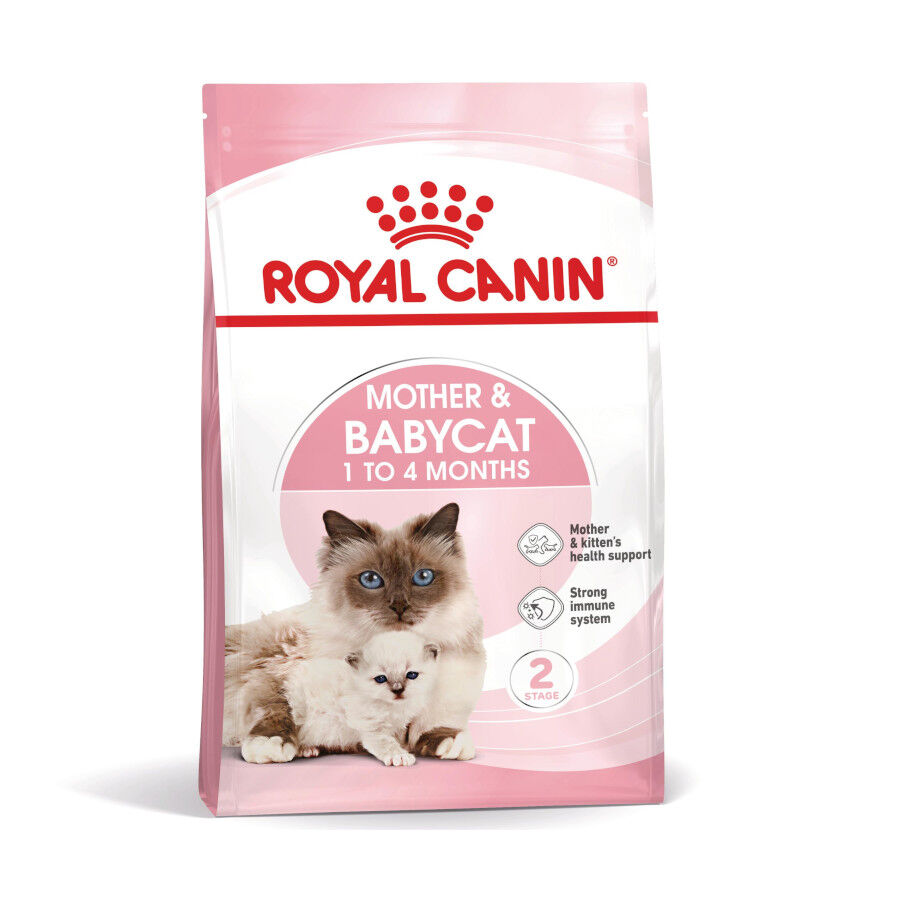 Royal Canin Mother &amp; Babycat pienso para gatos thumbnail
