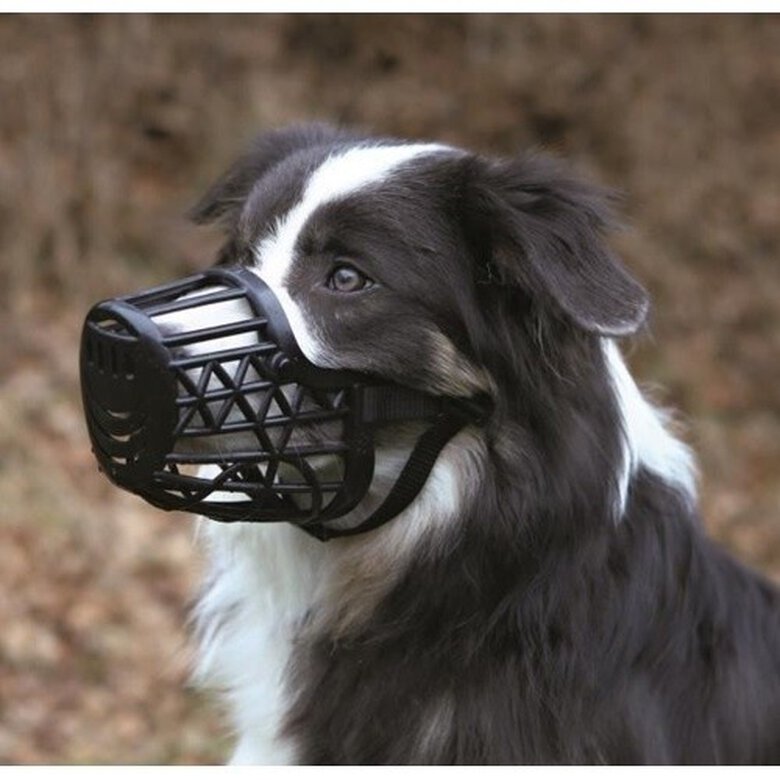 Trixie Bozal de Plástico para perros de razas grandes, , large image number null